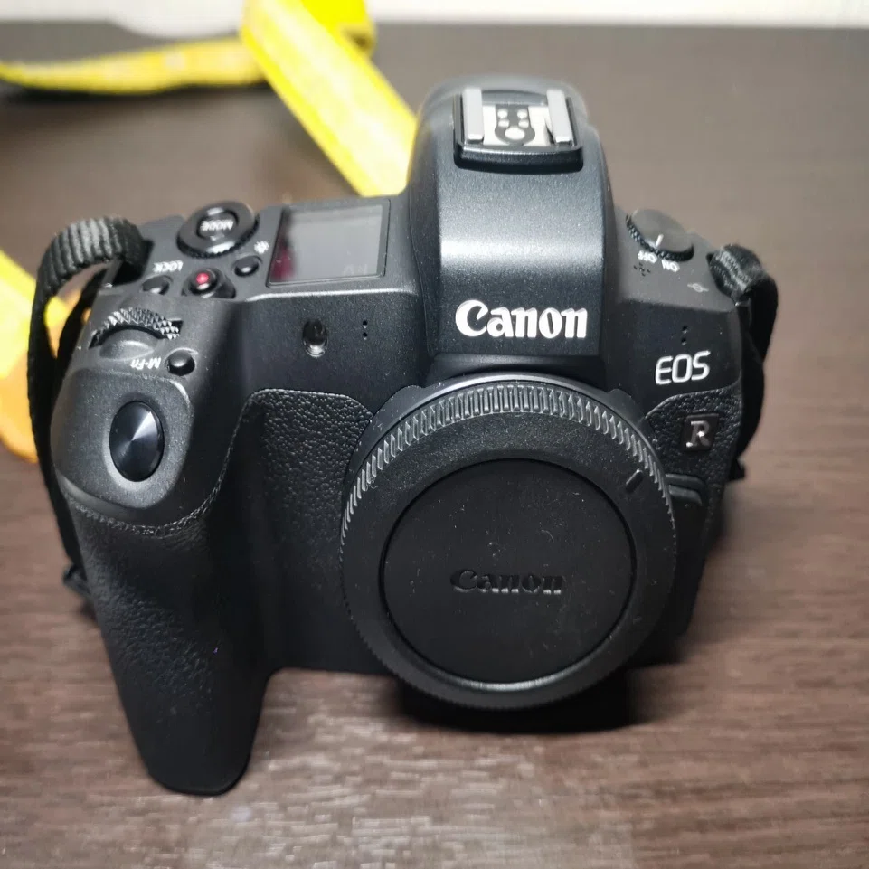 Canon「EOS R」で陸上競技を撮ってみた話 ②なぜEOS Rを選んだのか｜まつ