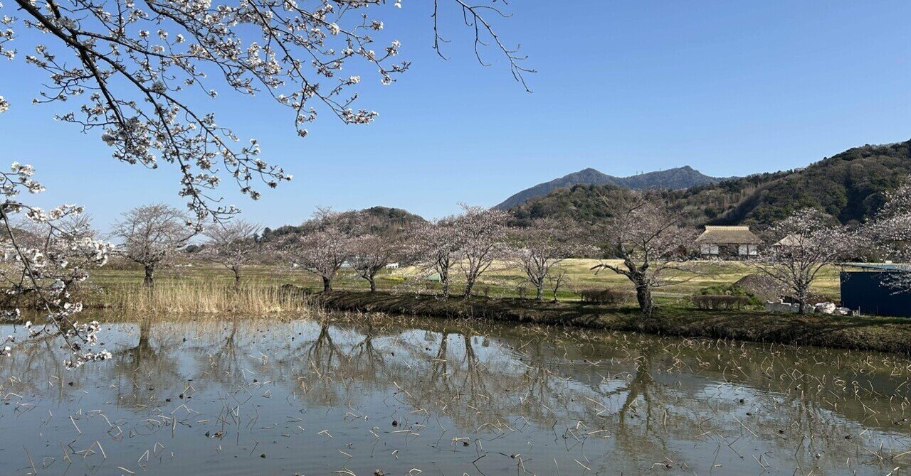 本気でローラーと筑波山 はやく走りたい!目指せフジヒル90分 本気でローラーと筑波山 はやく走りたい!目指せフジヒル90分