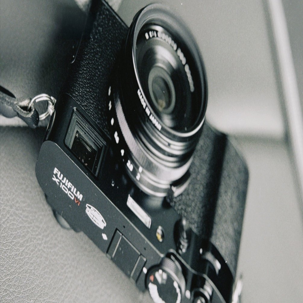 FUJIFILM X100VIを導入しました｜猫写真家 あおいとり