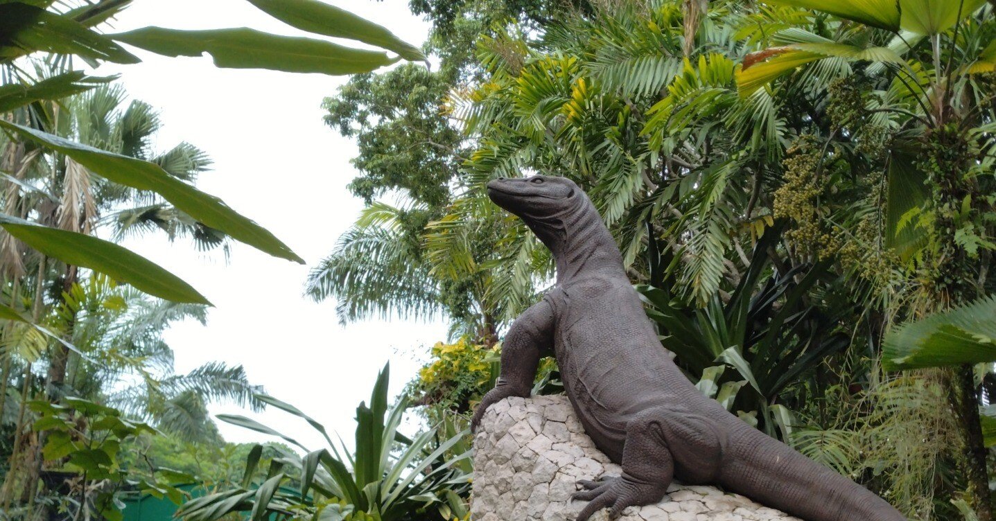 バリ島爬虫類パーク｜ototsumugi