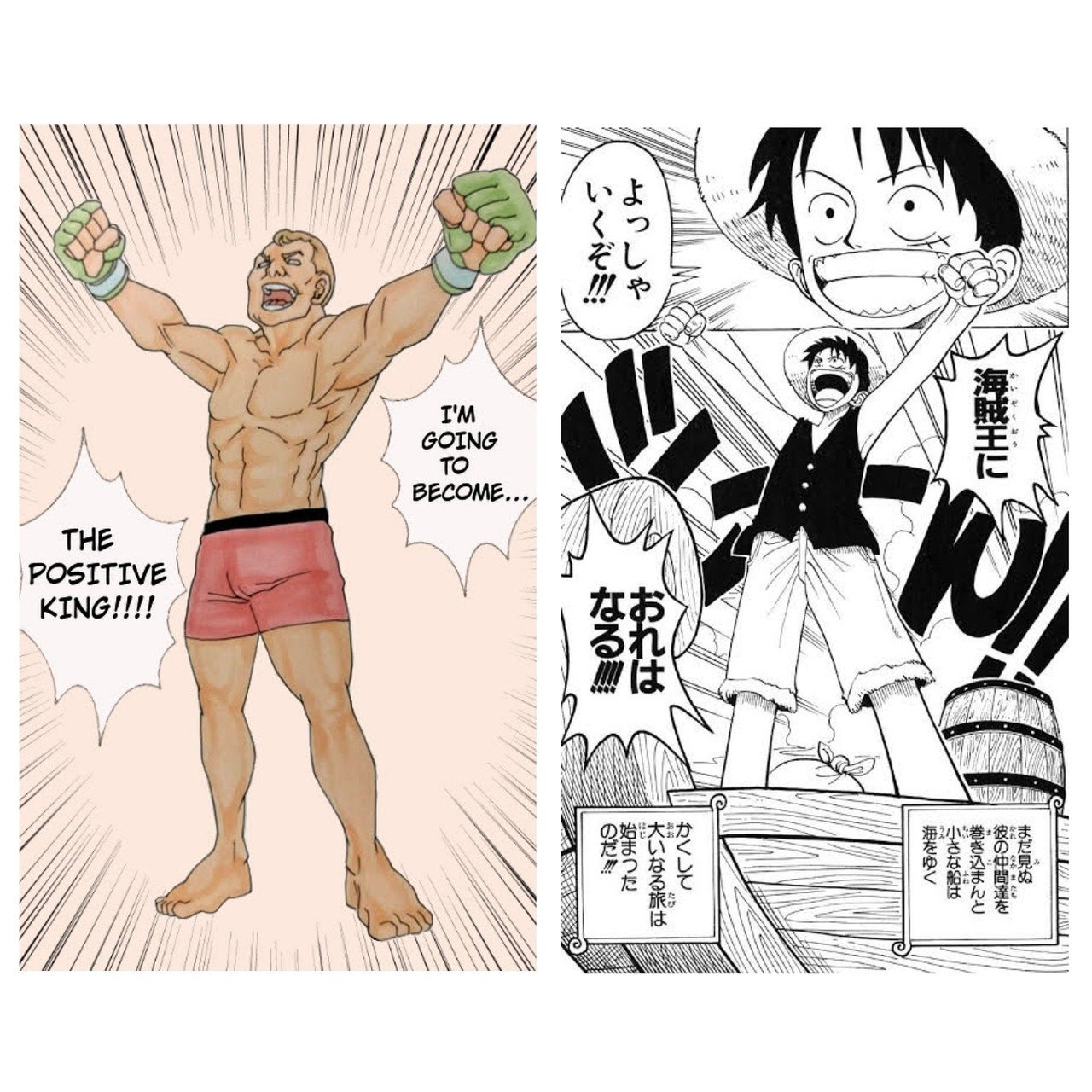 ポジティブ王に俺はなる コピロフ Note