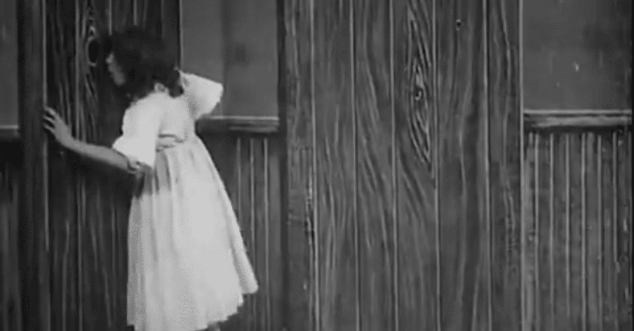 これはおそらく世界初の「ぬい撮り(動画)」ですね🧸|ぼくはくま