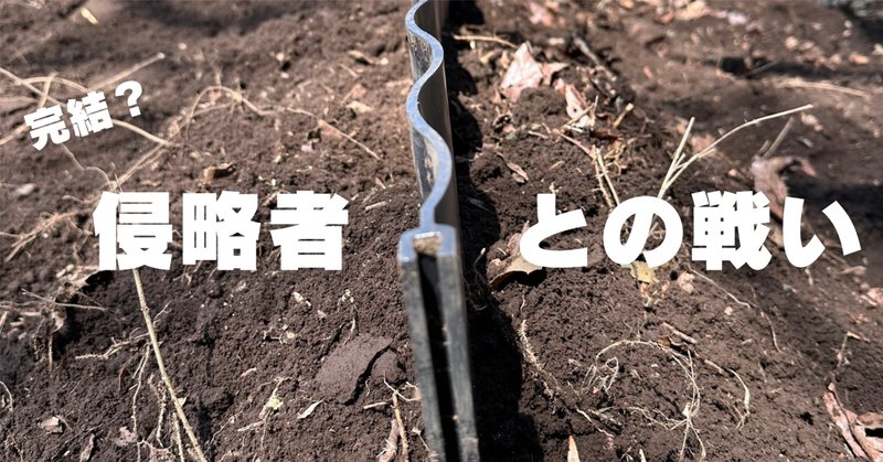 儲かる！園芸」①1日で1億円以上売り上げた「草が根こそぎ