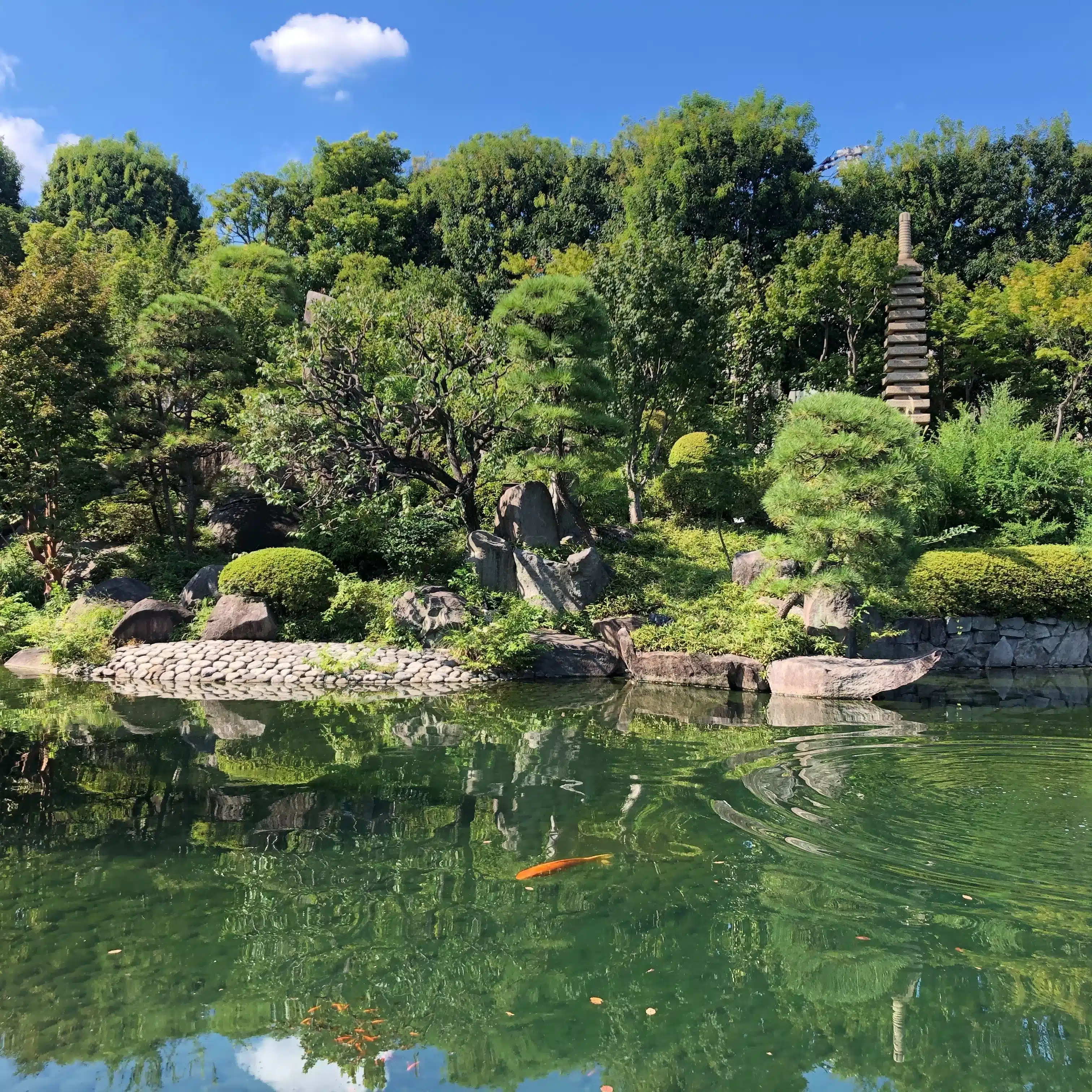 かわうそ