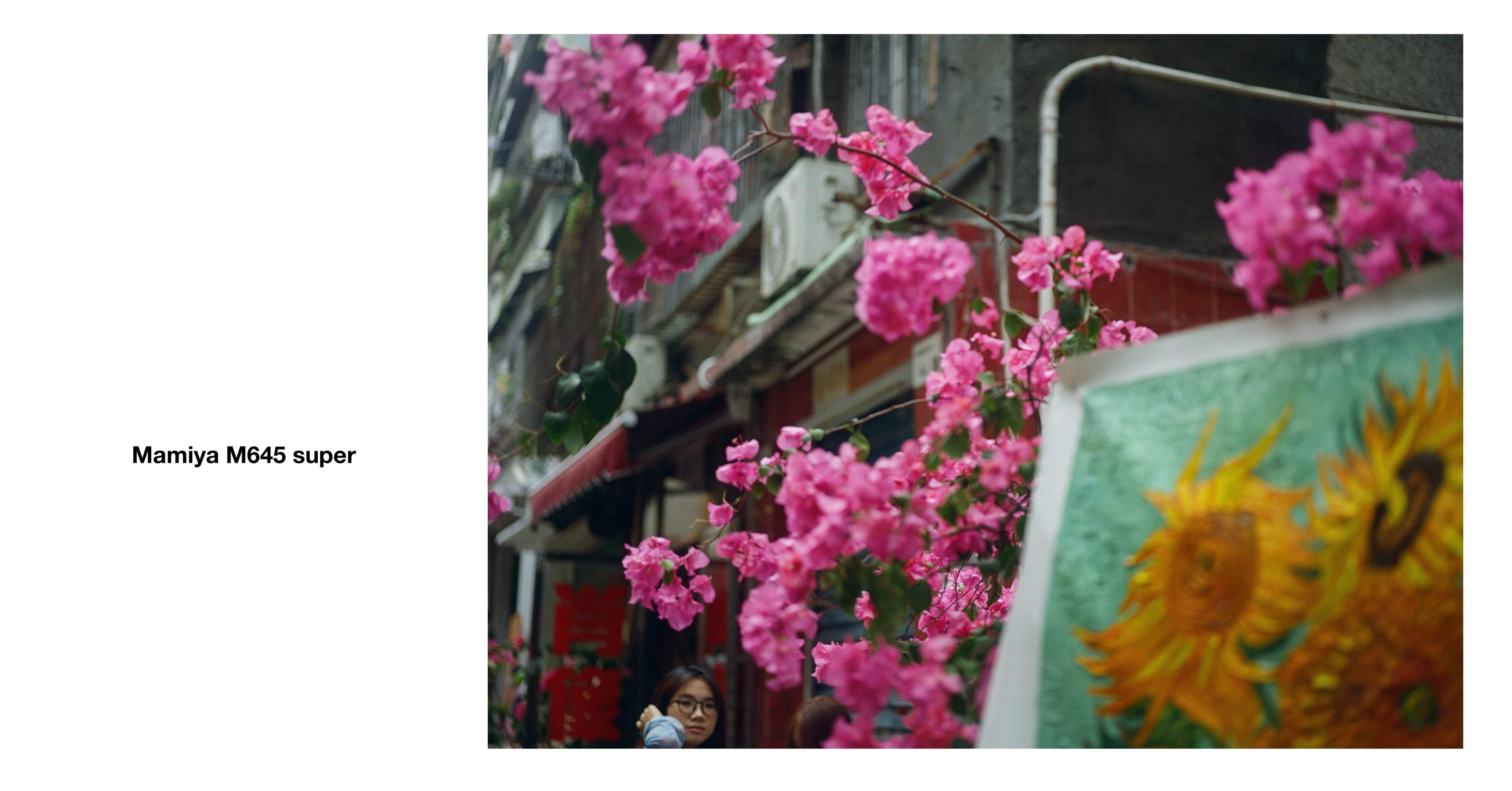 中判フィルムカメラ ｜ Mamiya M645 Super #1｜beach_wave888