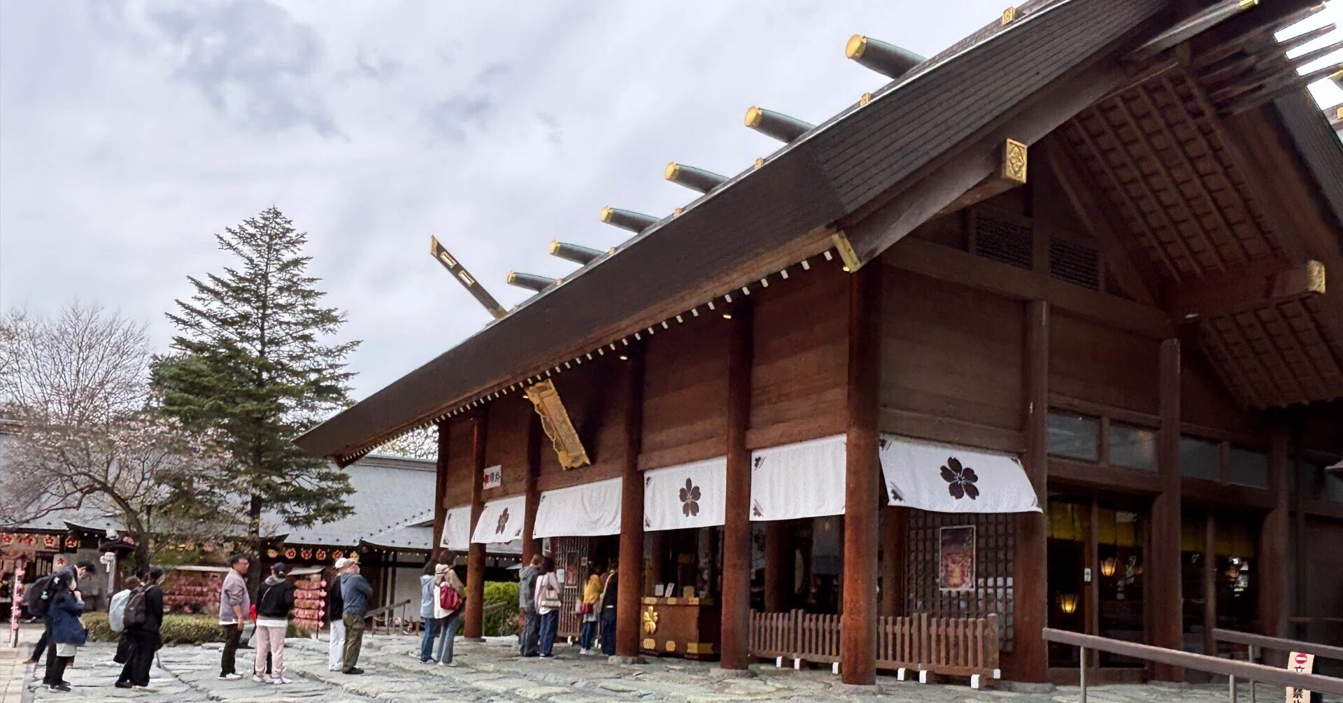 野田 桜木神社にお参りしてきました。｜yumiパンダ