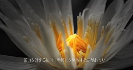 人気のクリスマスアイテムがいっぱい！ 津留晃一」の人気タグ記事一覧｜note ――つくる、つながる、と その他