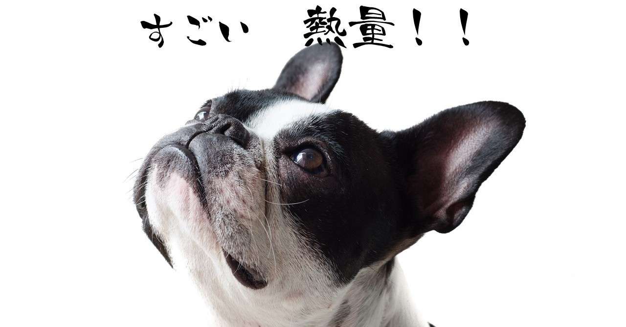 すごい熱量