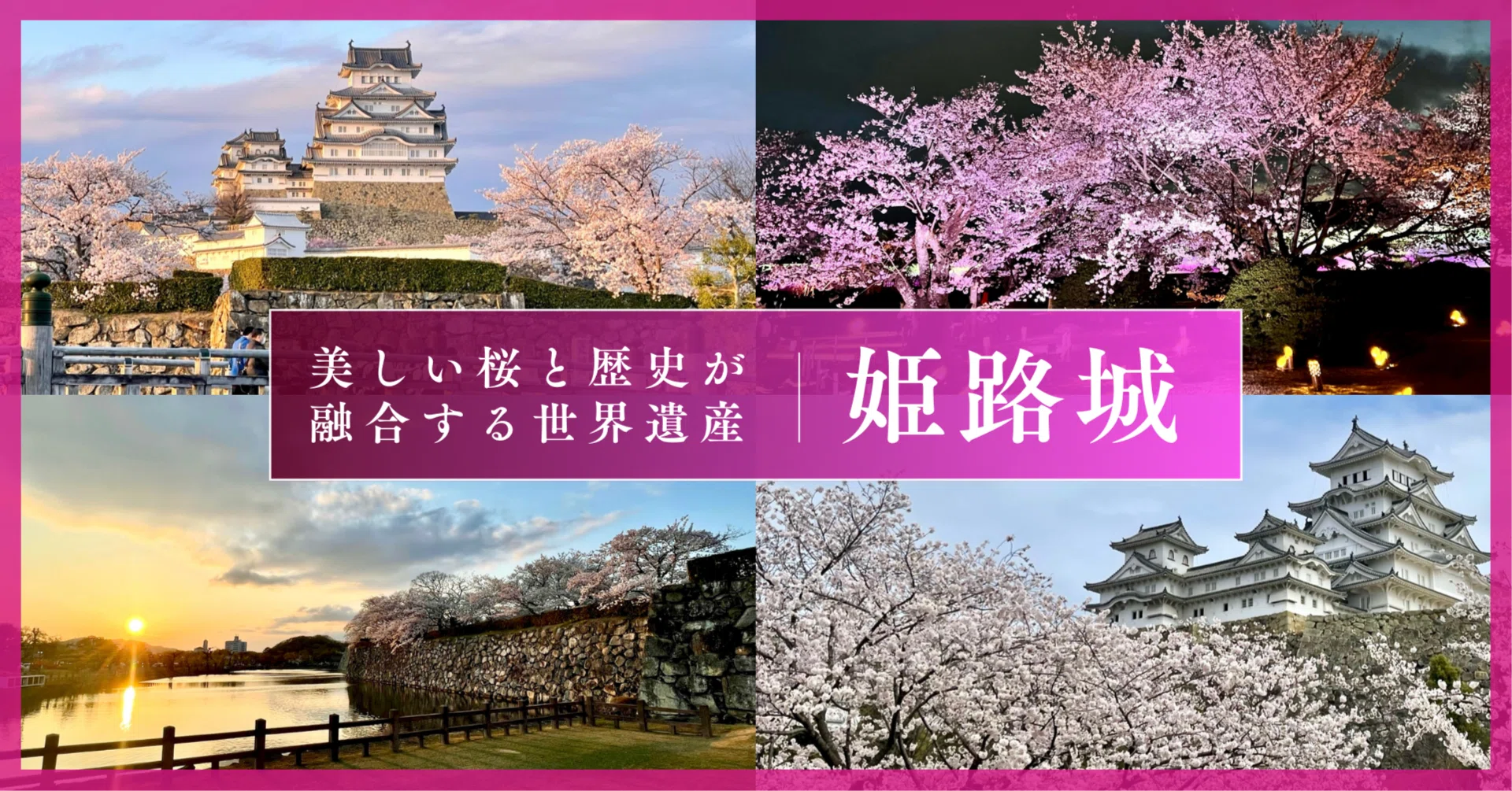 美しい桜と歴史が融合する世界遺産｜【姫路城】｜Tomo＠旅と美食の探求Life