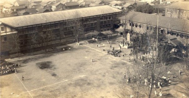 虹を架けた女たち : 平塚らいてうと市川房枝 虹を架けた女たち : 平塚らいてうと市川房枝(山本藤枝 著