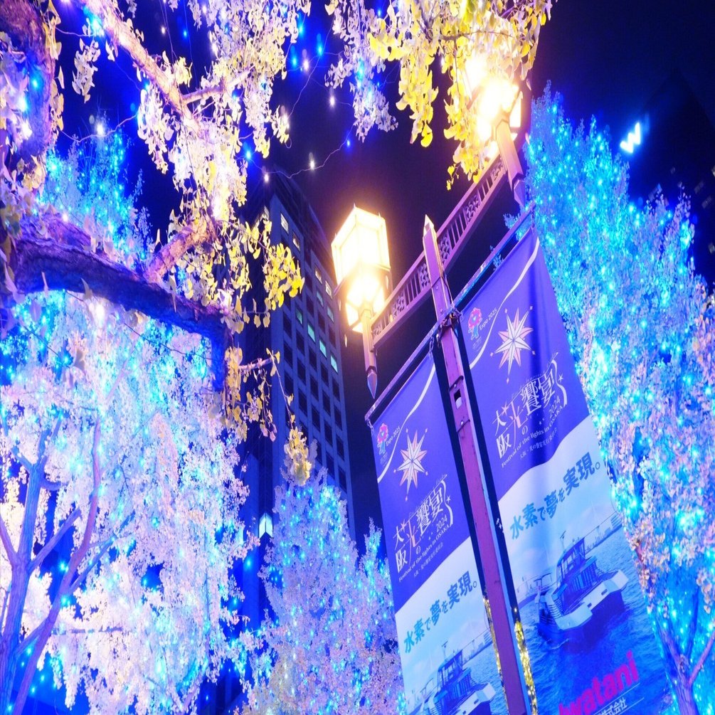 ZV-E10 IIで撮る vol.1「 冬の御堂筋イルミネーションを手持ちで