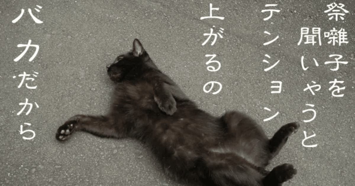 ニャンフェス21に行ってきました！｜KUMASAKA