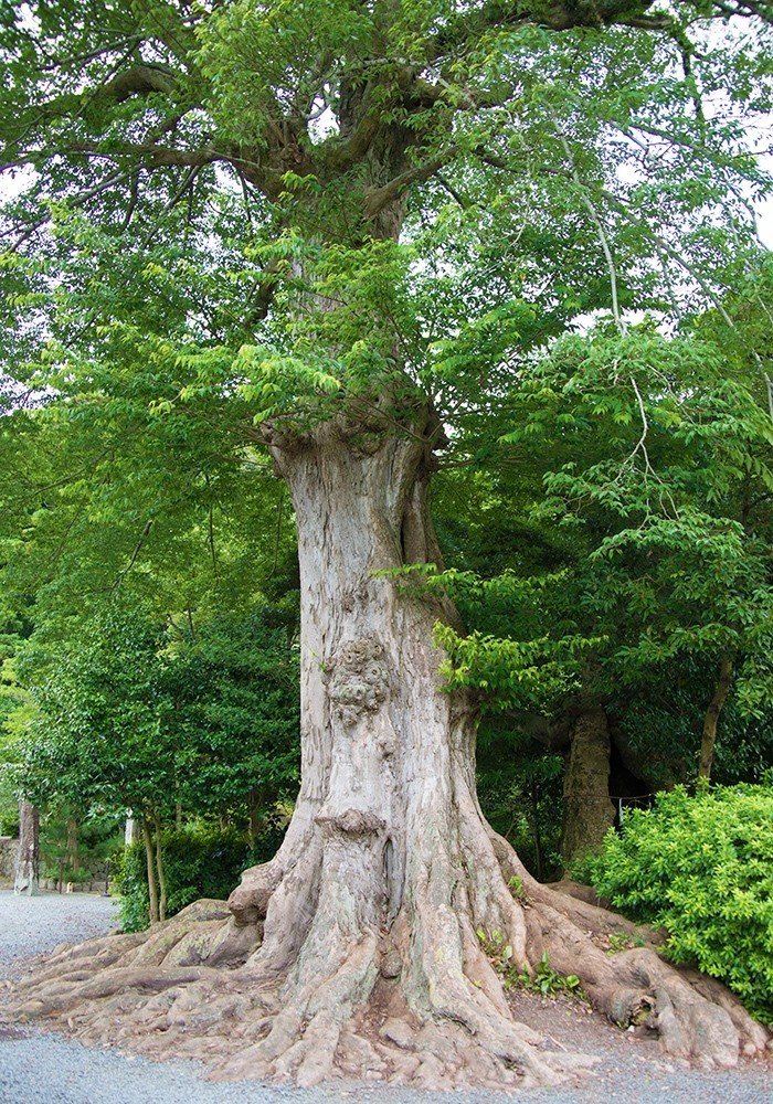 石見一宮物部神社聖天さん