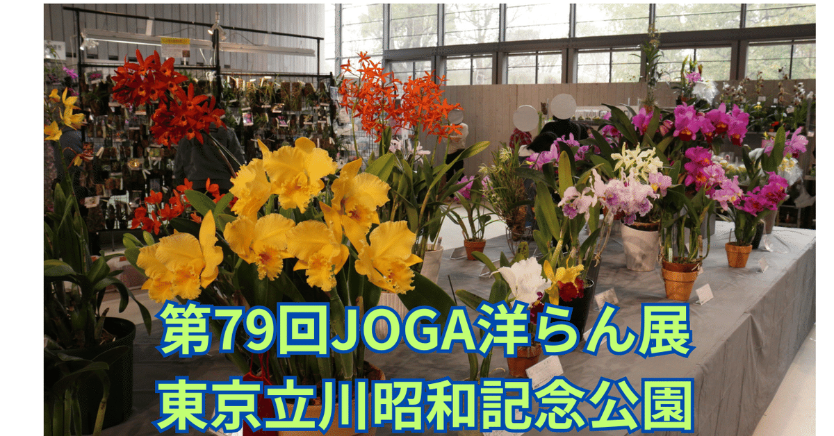 Fumiyo_IIDA_necomoss | オフィシャル解禁〜 ▪️イベント出店の