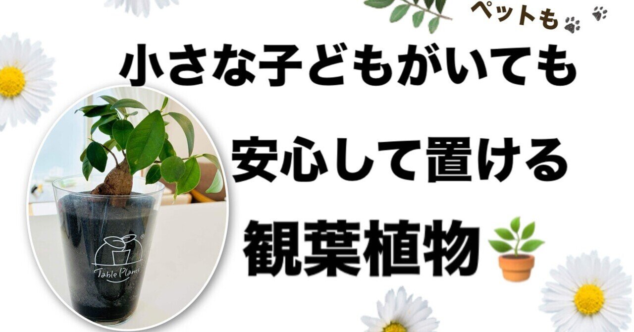 空中に浮かぶ植物でインテリアを魅力的に！「LYFE」プランターの
