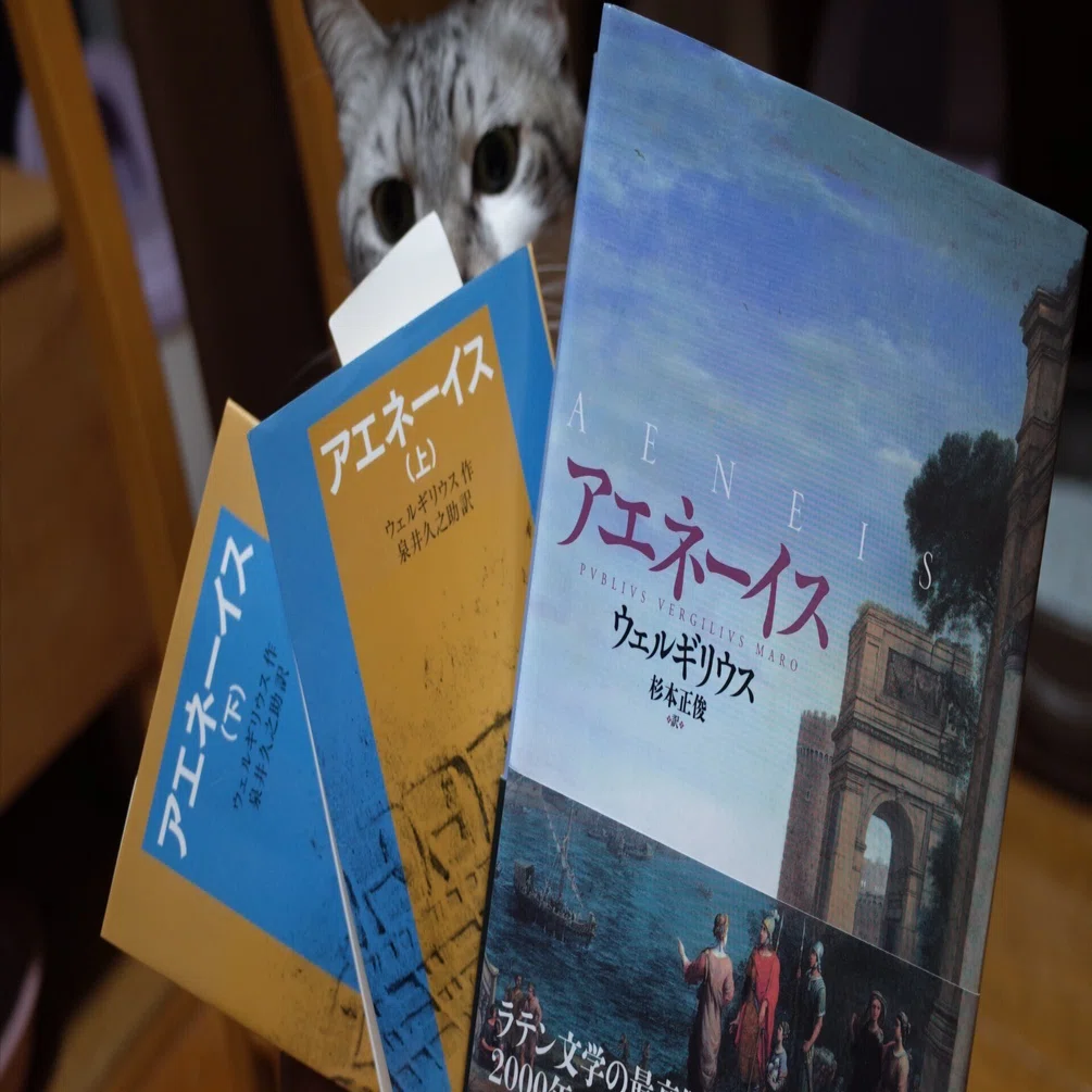 四苦八苦して読んだ「アエネーイス」｜笠原 英二（単行本が文庫本に