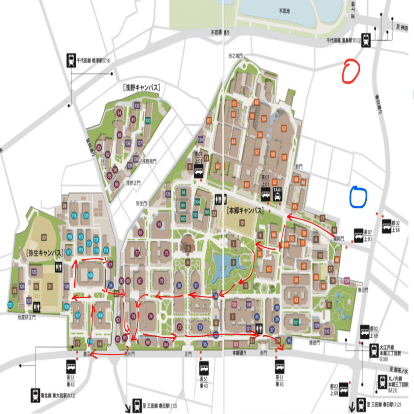 お散歩日記〜東京大学編〜｜トマト