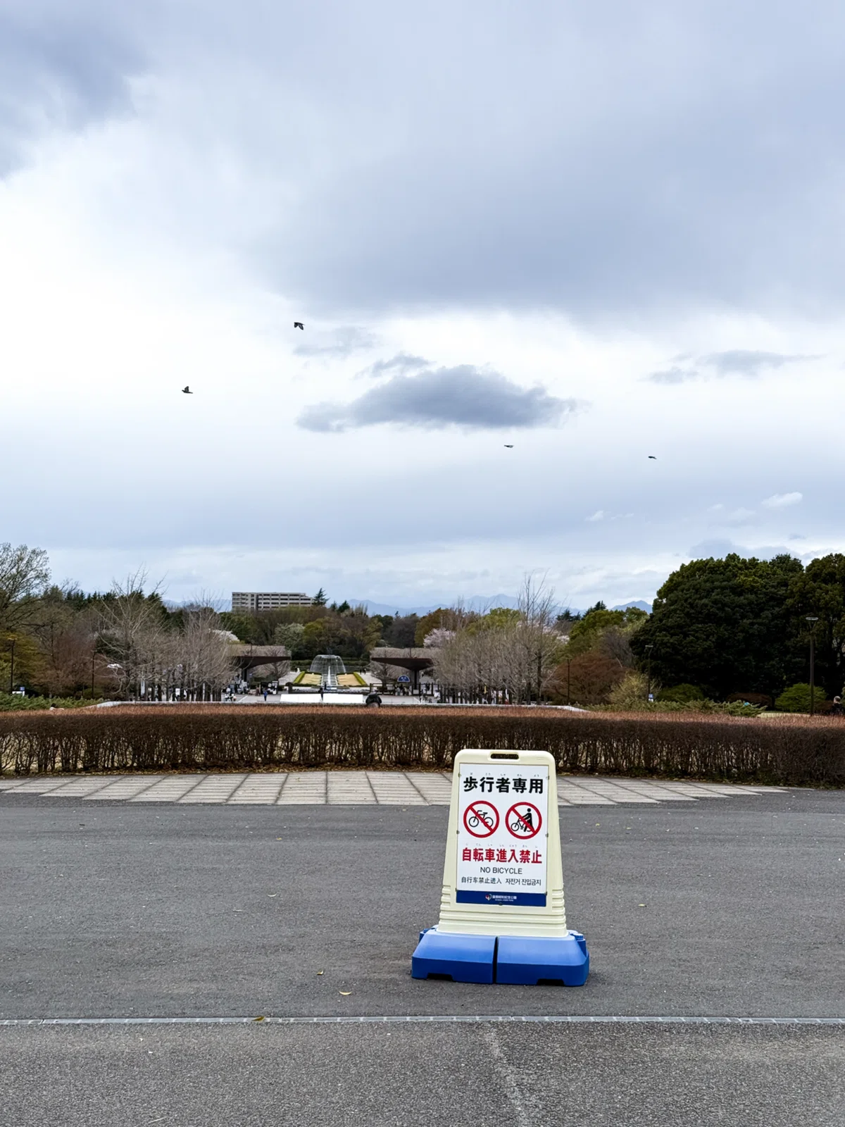 東京蚤の市会場より奥に進んだことは殆ど無かったみねのさん