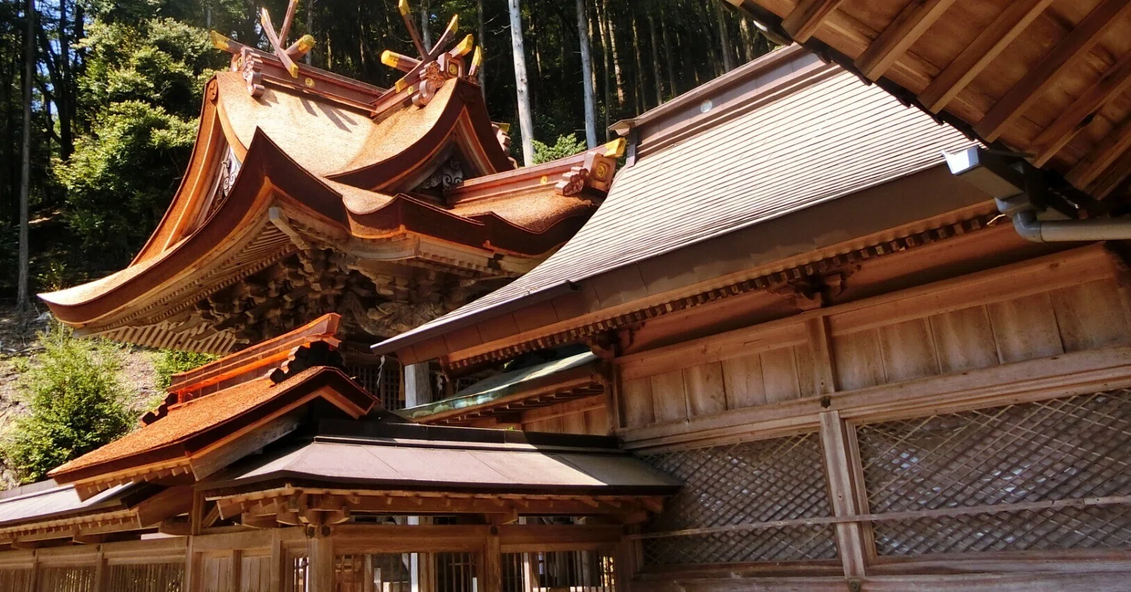 延喜式の古社!さみやさん「狹宮神社」若沙那売命?七宮参り!檜皮葺