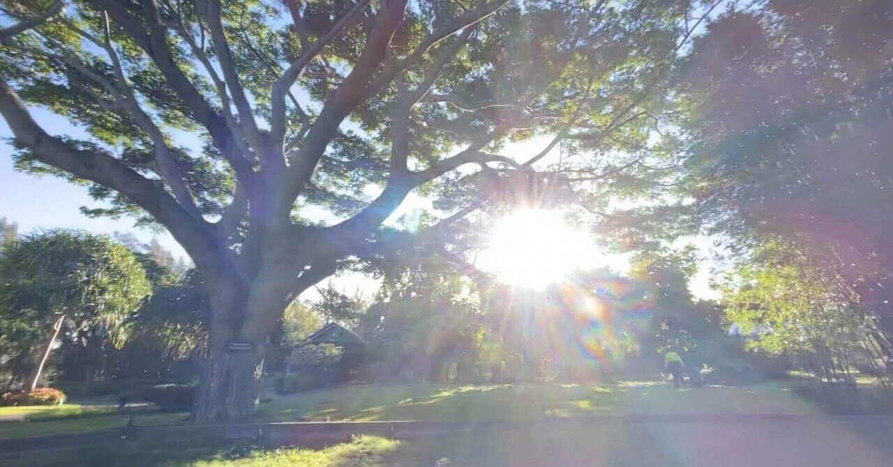 久しぶりに、ホ・オポノポノを思い出しました｜Meijia