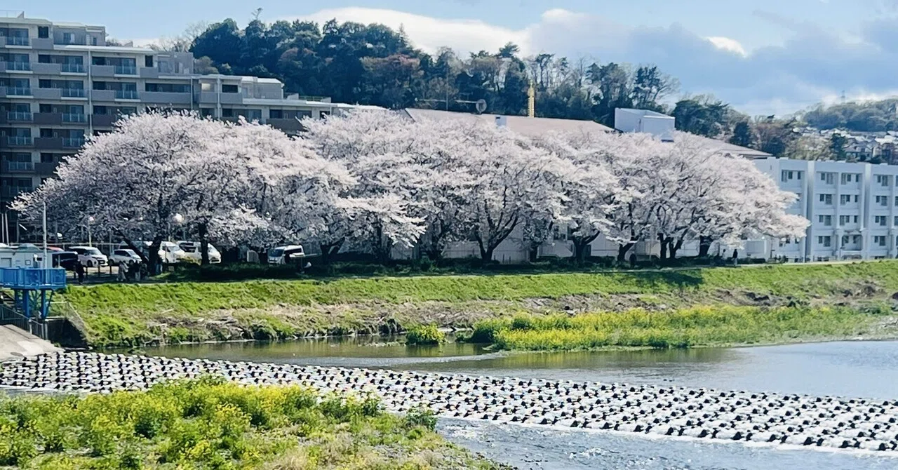 東京 都 日野 市