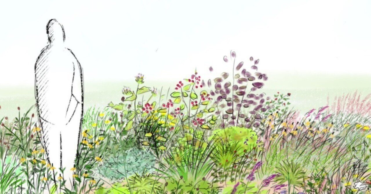植物図鑑 -全体図、各解説-｜KINUTA”OneHealth”Gardenチーム