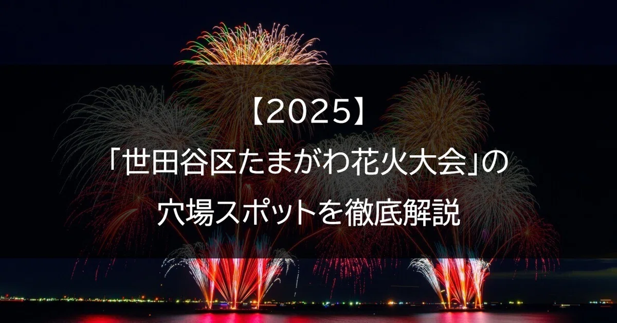 世田谷区 たまがわ花火大会 2024 ペアイス席 【公式通販】