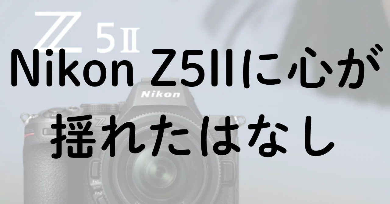 ニコンZ5IIに心が揺れた話｜No.54