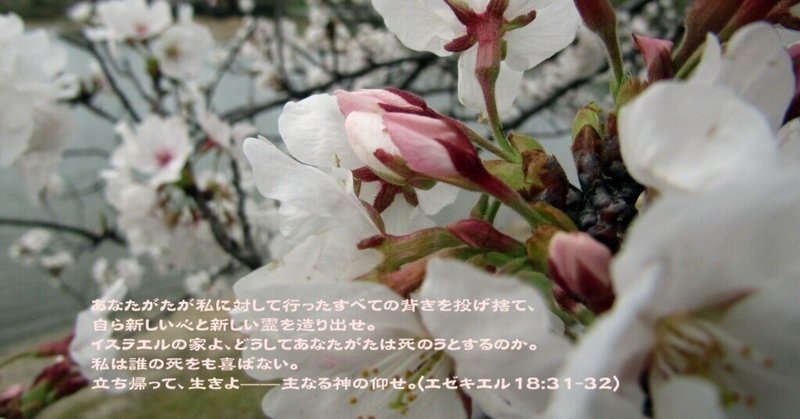 聖書通読クラブ Day 257【エゼキエル書 40章-42章