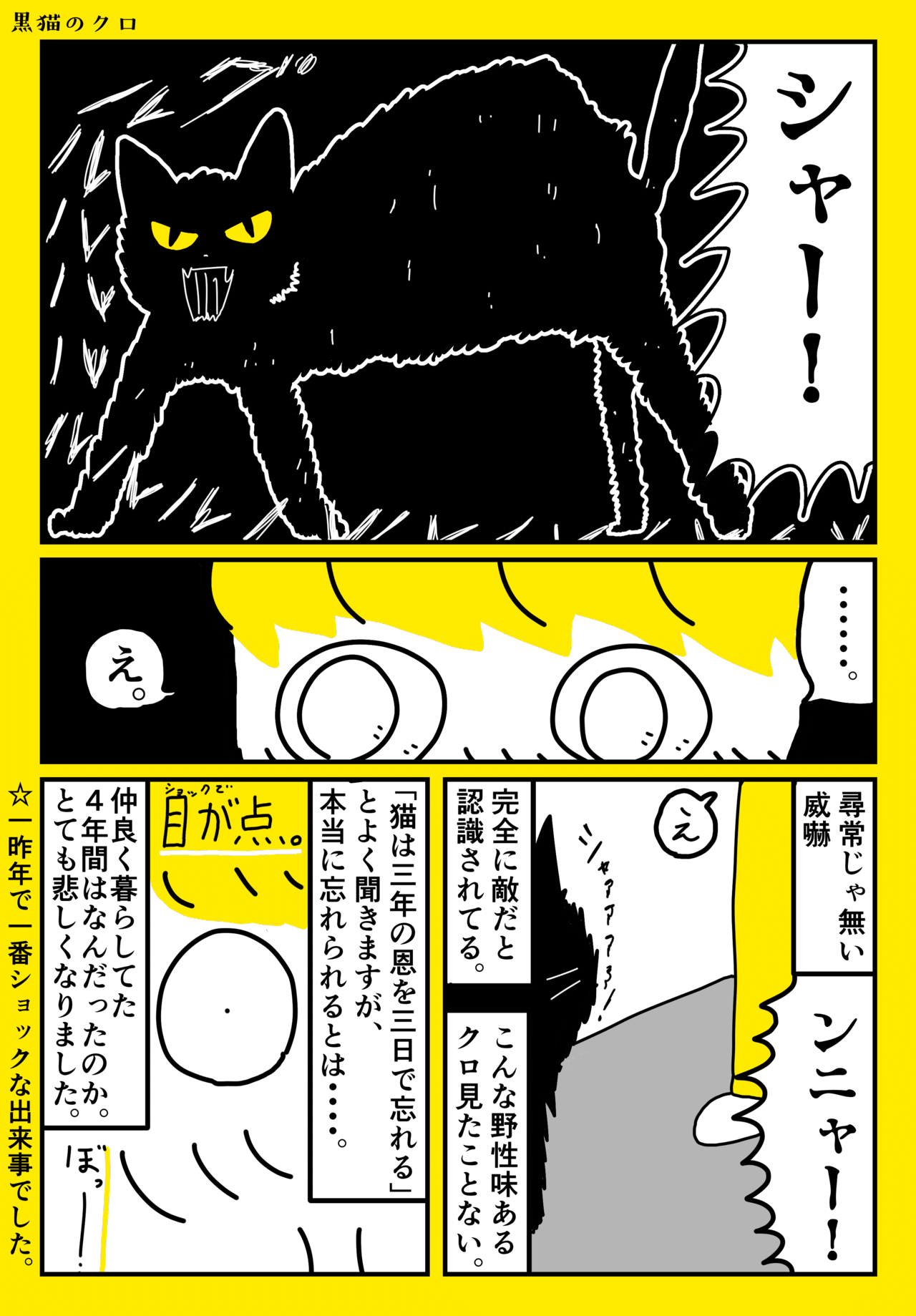 黒猫のクロ５_３