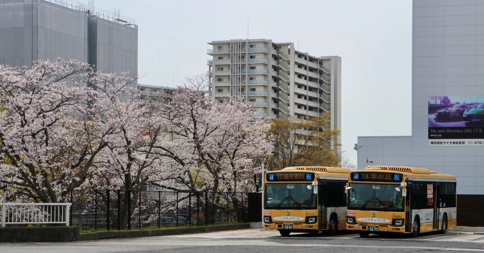 山陽バス】名谷駅バスターミナルの桜2025と「tete名谷」南ゾーン｜垂水
