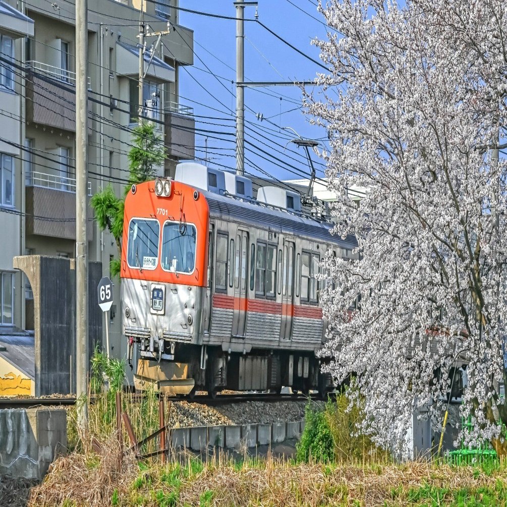 ゆる鉄】桜と撮る北陸鉄道：石川線｜もんぶらん