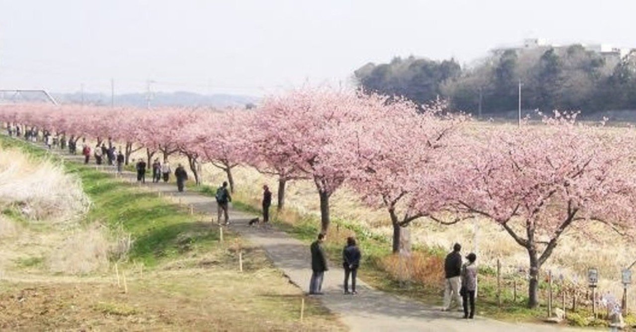千本桜 の歌詞の意味を調べてみた Nekomeshi Note 千本桜 の歌詞の意味を調べてみた Nekomeshi Note