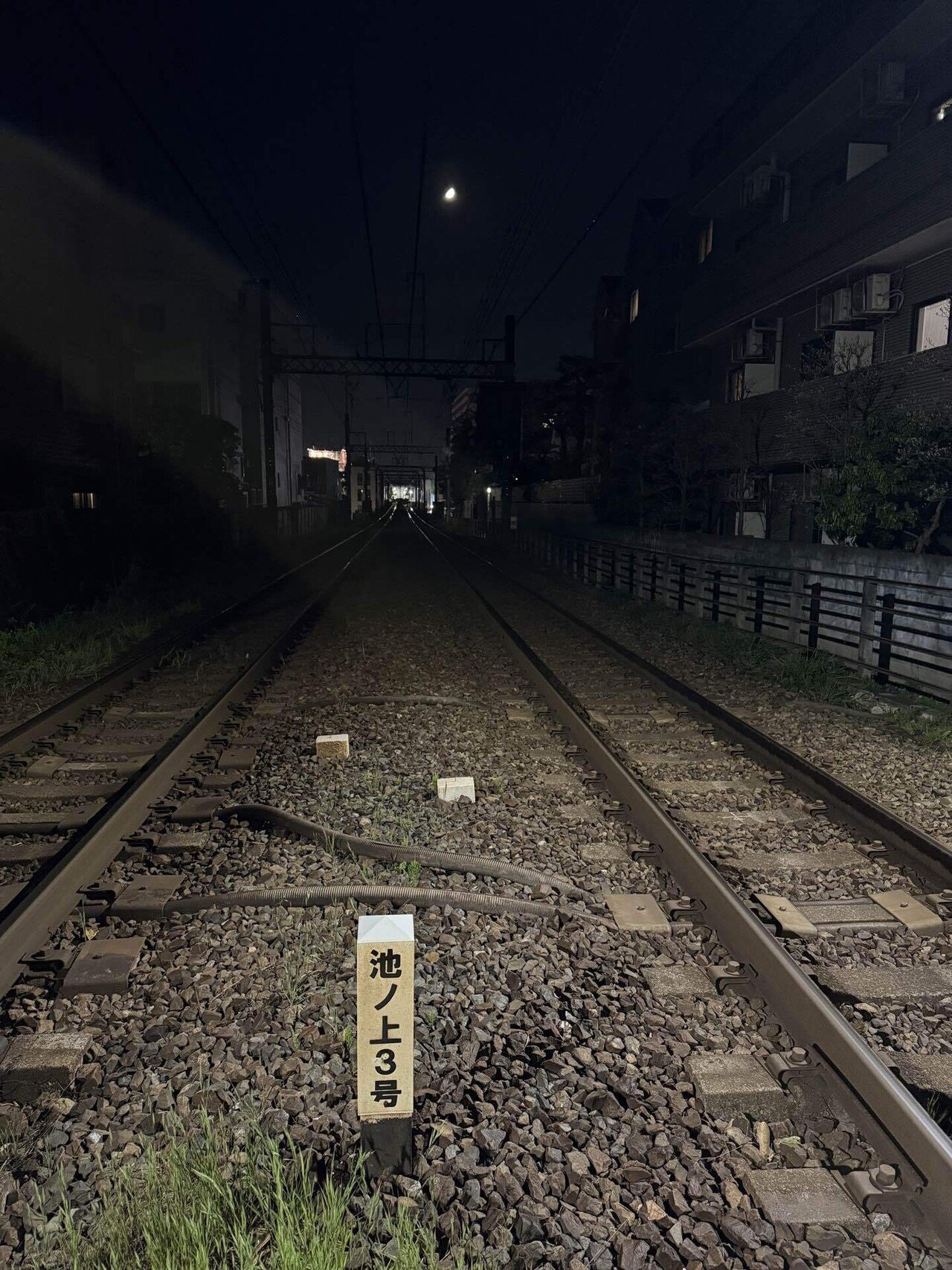 2025年4月6日(日)｜松田
