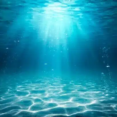 海乃しずく
