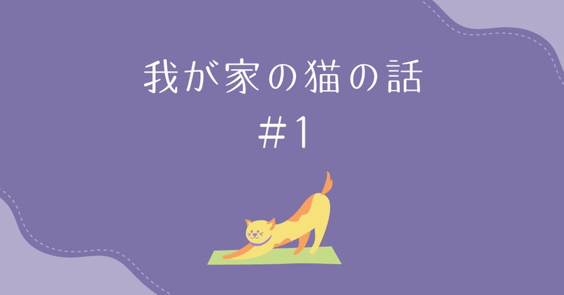 話好きなストーカー猫、ロシアンブルーのLeeとの生活｜HandY