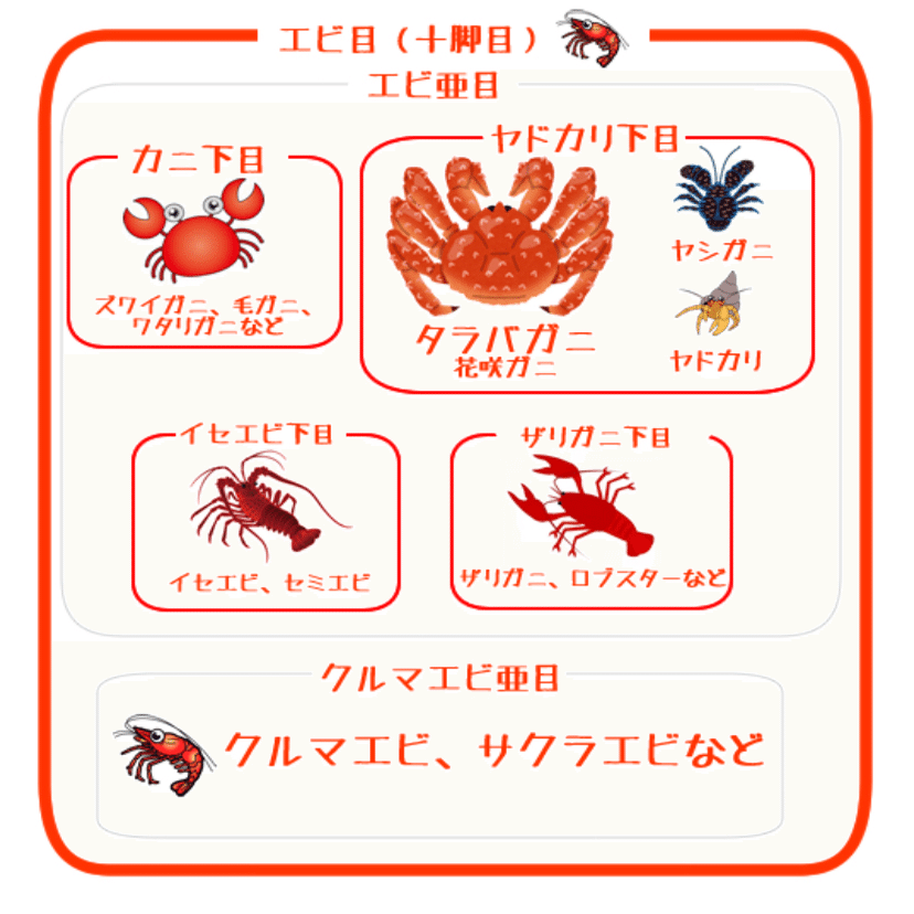 エビとカニ最新分類をラグビー風に エビマヨむすび編 ハスつか Note