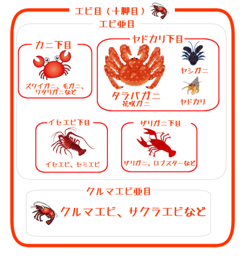 エビとカニ最新分類をラグビー風に エビマヨむすび編 ハスつか Note エビとカニ最新分類をラグビー風に エビマヨむすび編 ハスつか Note