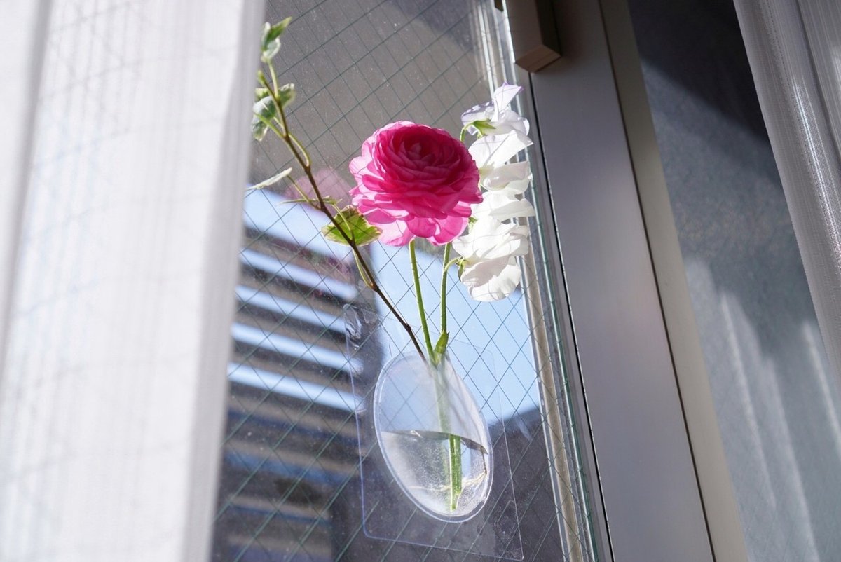 宙に花を生けるフラワーベースが斬新すぎる｜岩田紫苑(ライター&広報) 