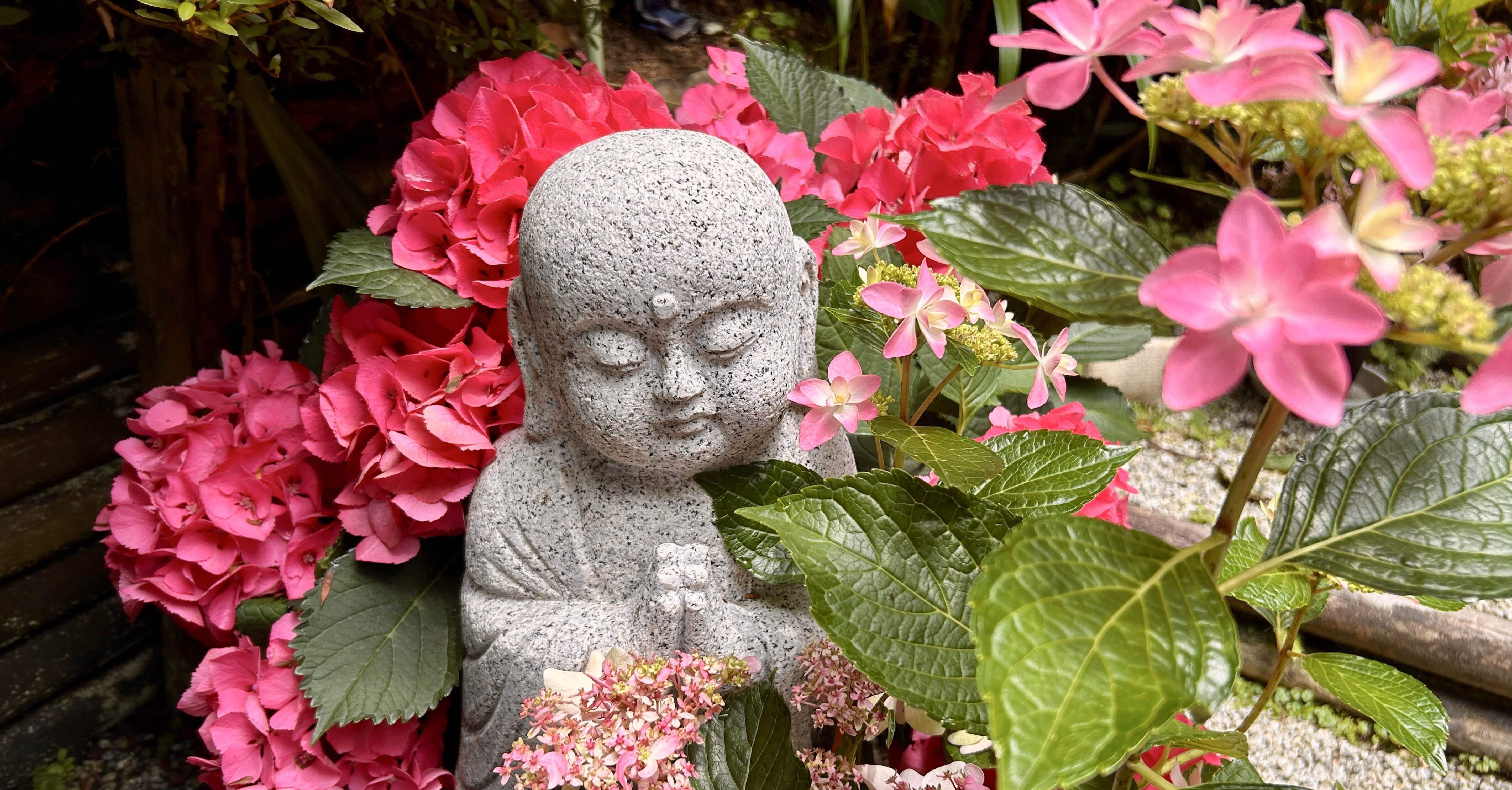 夏至の京都奈良琵琶湖を巡る旅【2024-6】➄聖徳太子の母の愛：橘寺と持