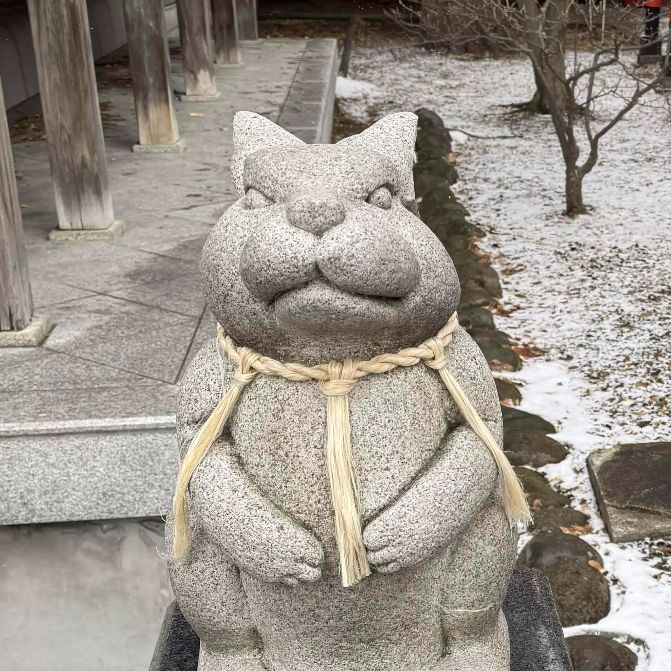 友野すずかぜ