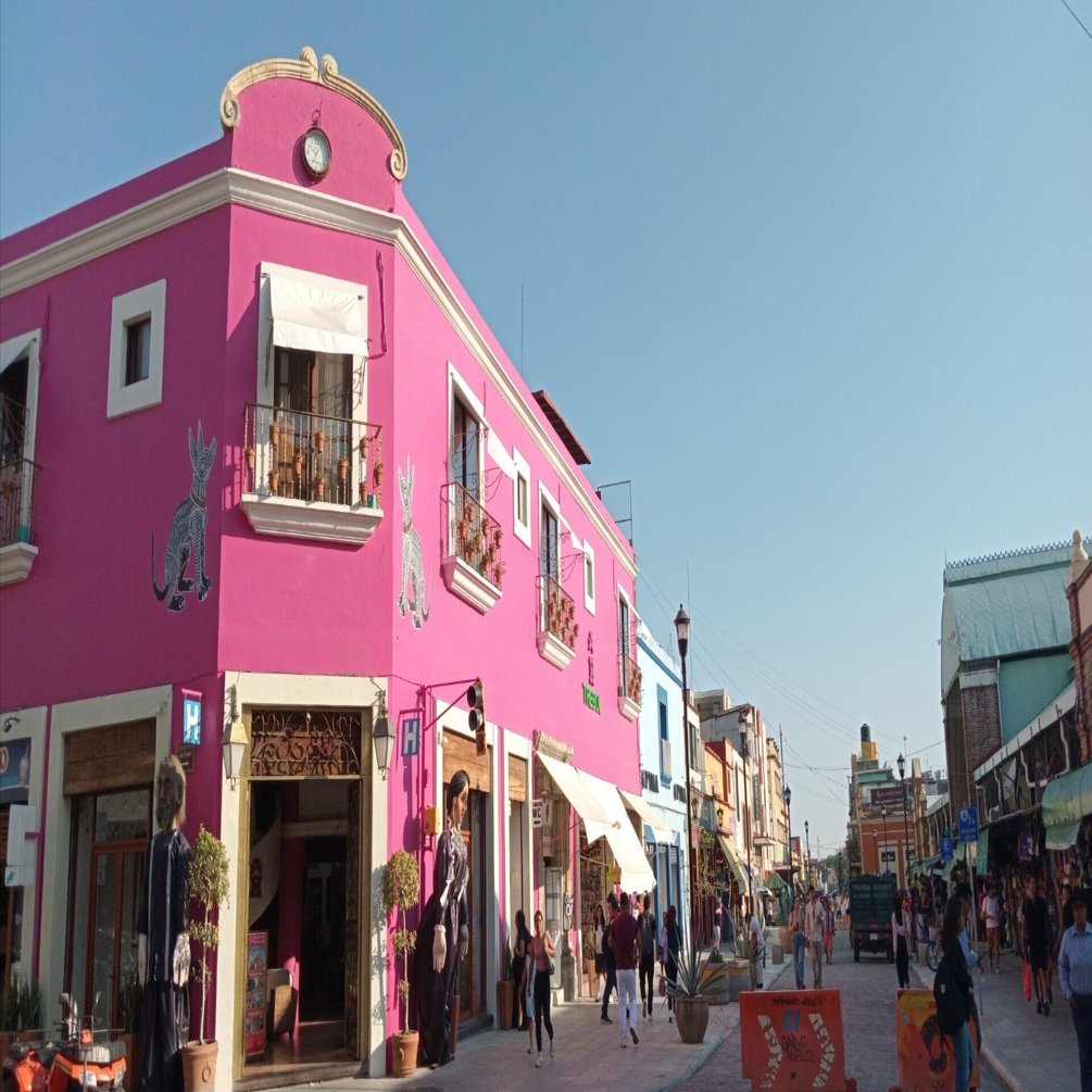 🇲🇽メキシコ】#6 メキシコシティからオアハカへ夜行バスで向かう