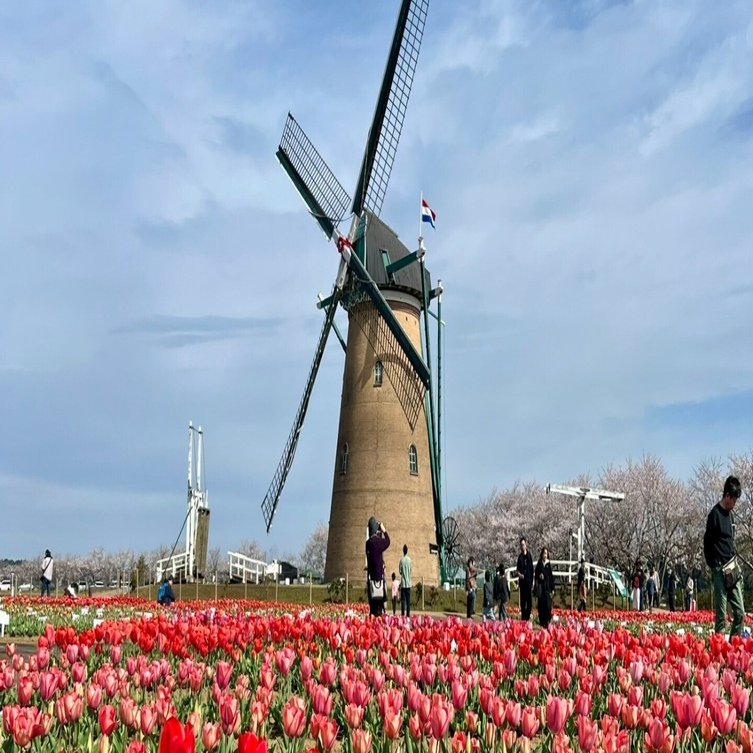 岡田有希子「リトルプリンセス」（1984）｜音楽の杜