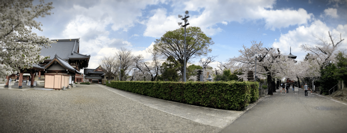 境界線を超える旅 池明観自伝 池上線 桜散歩（池上本門寺、洗足池公園）｜Benjie