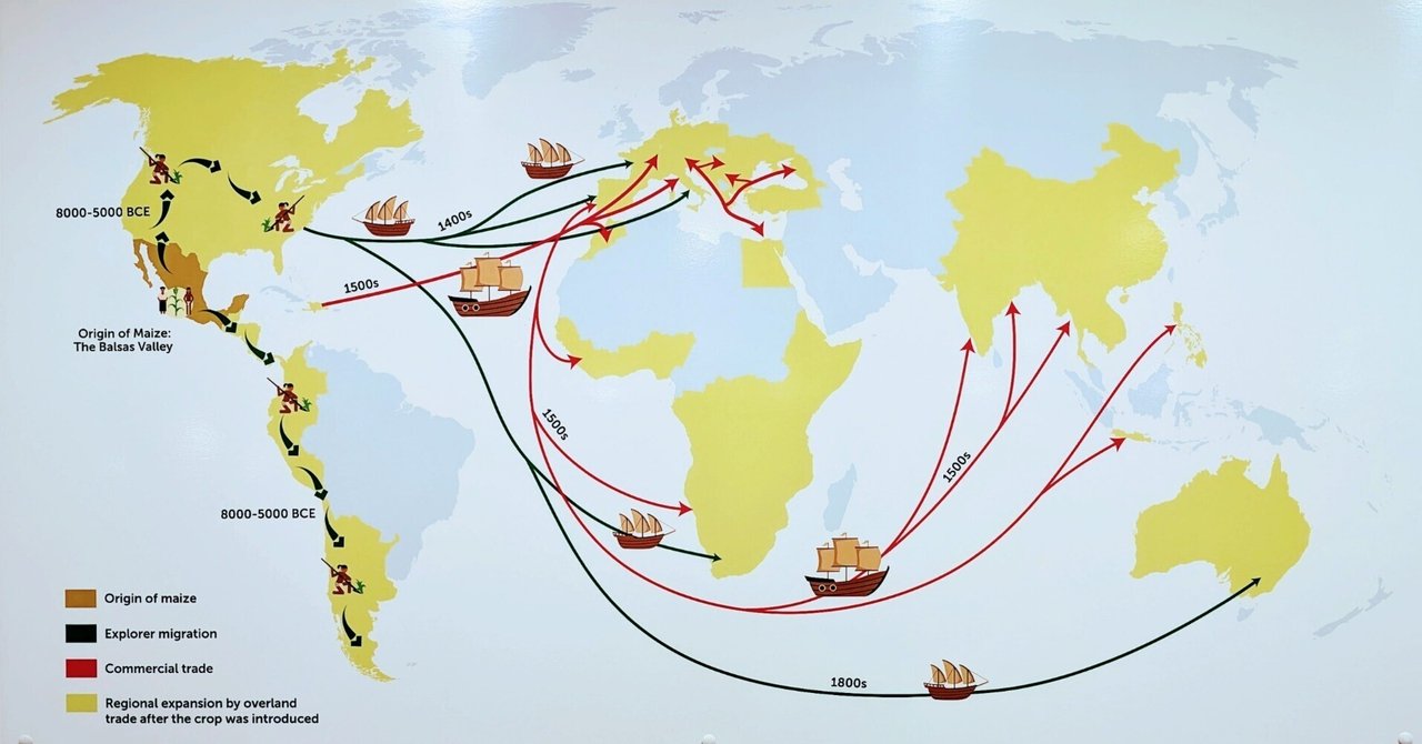 食物の世界地図 起源・歴史・交易・文化