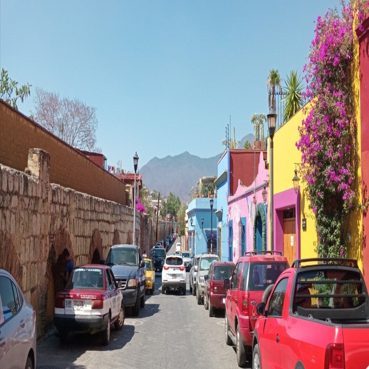 🇲🇽メキシコ】#8 オアハカの水道橋とカラフルな街並み｜リエ｜畑と旅