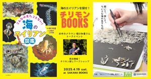 rectangle_large_type_2_e1f9fce