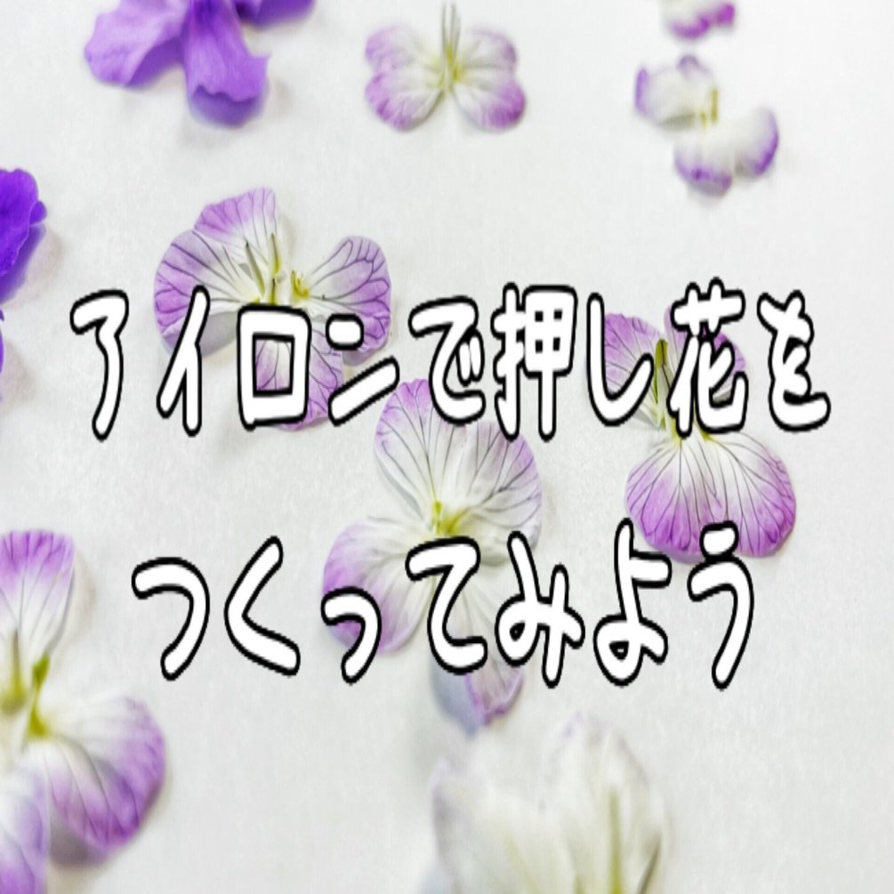 押し花用アイロン ヘアアイロンで簡単速攻押し花作り - YouTube