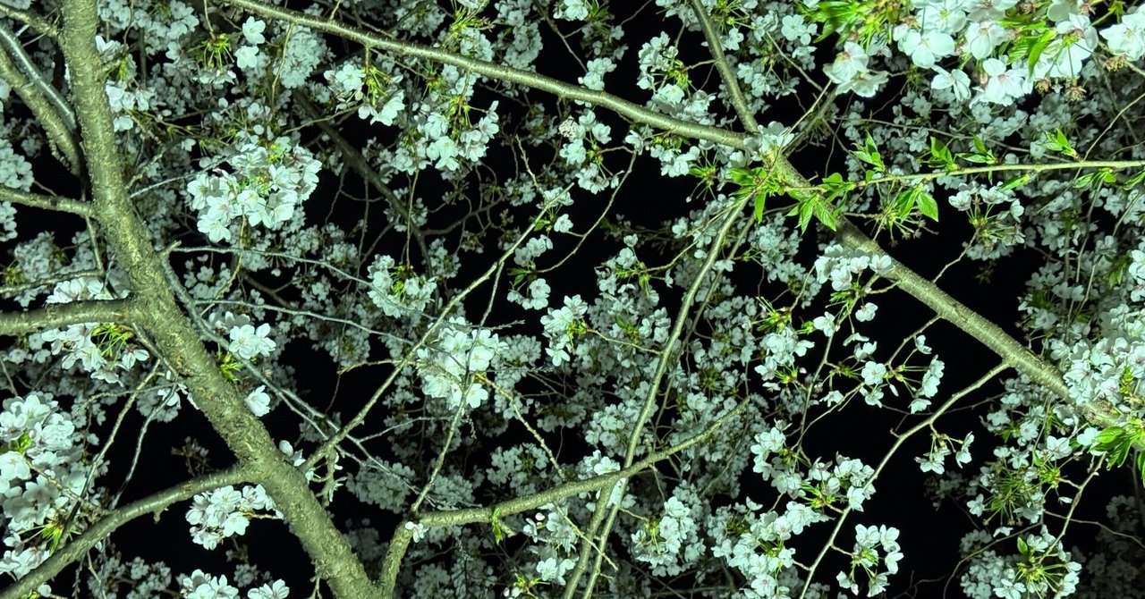 Web site image