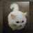 ねこの青春日記